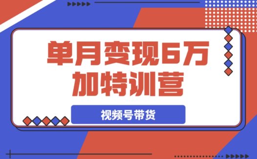 2025 必学!30 天变身视频带货高手,单月轻松变现 6 万 + 的特训营